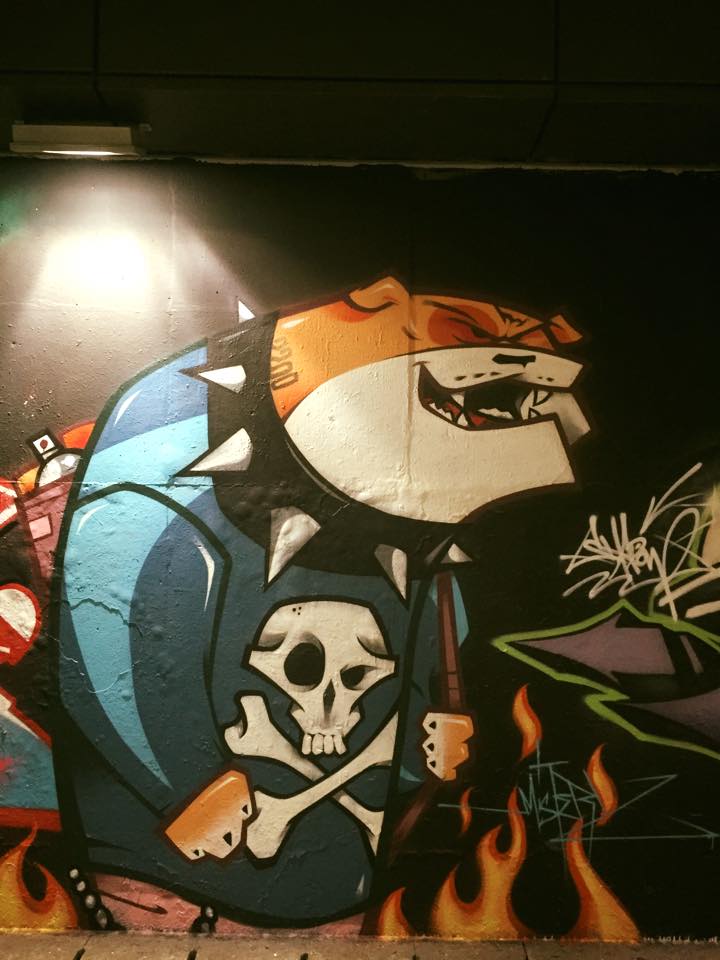 12417967_10207992828320145_4321344341573991183_n